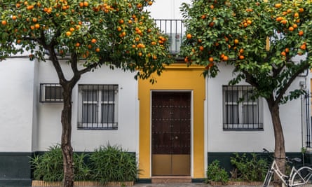 A house in the Santa Cruz neighborhood, with orange trees outside.