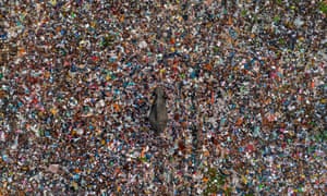 An elephant, seen from above, walking across a sea of plastic rubbish