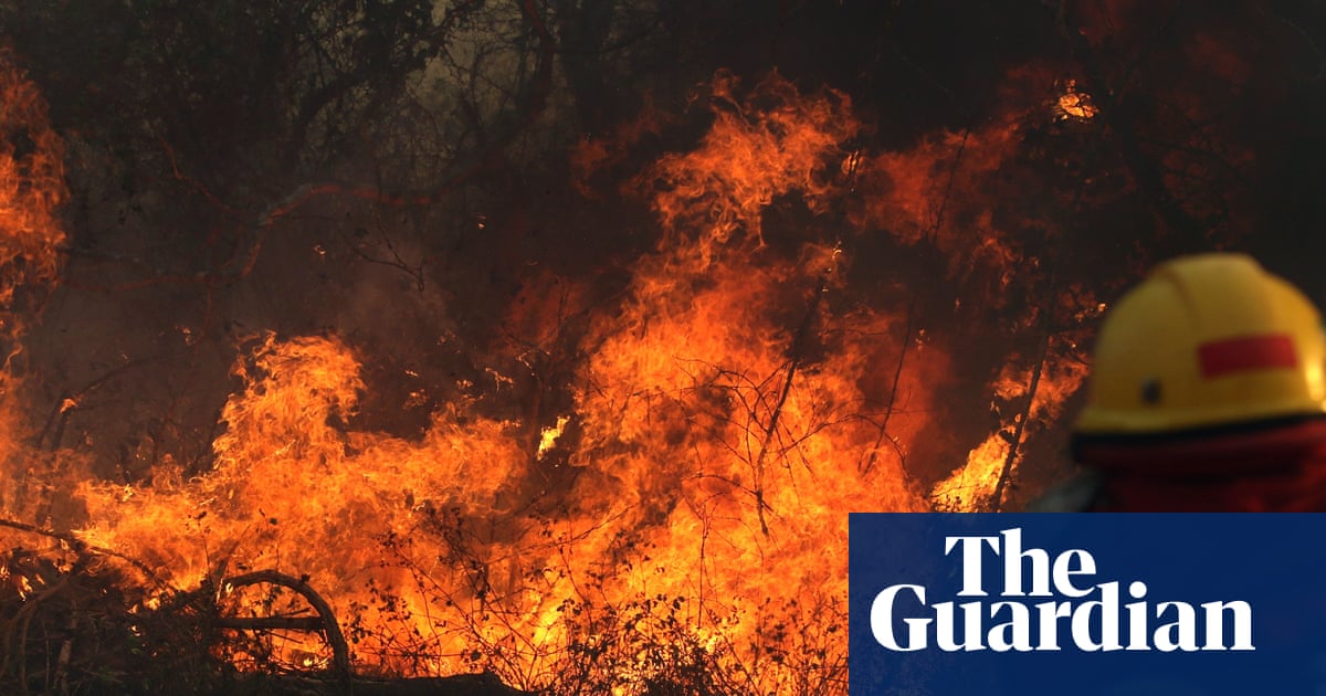 Bolivia: catastrophic wildfires devastate forest in echo of Brazil's Amazon crisis