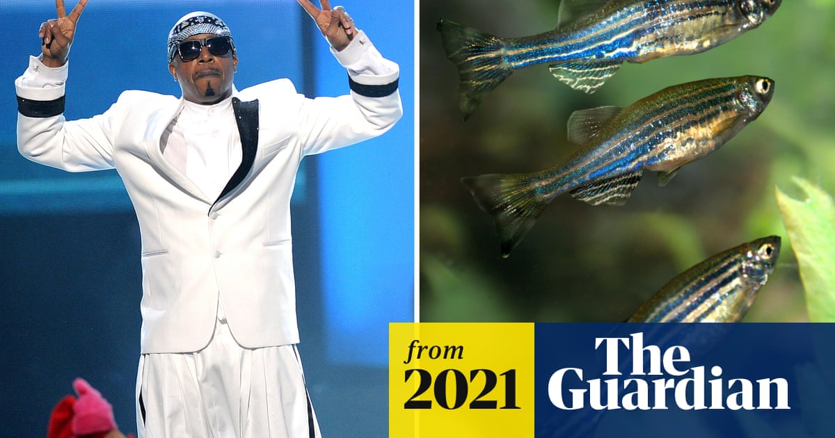 www.theguardian.com