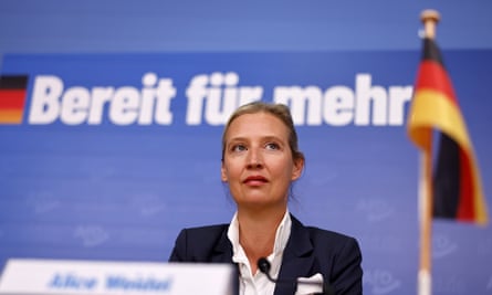 Alice Weidel at a press conference