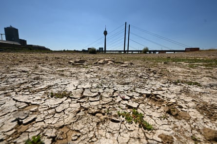 The partly dried-up riverbed of the Rhine in Düsseldorf, Germany.