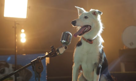 Dog at the microphone