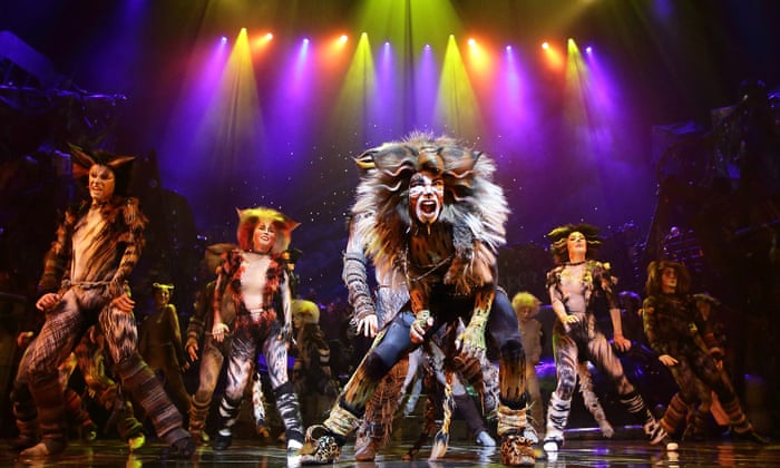 I Ve Seen It 703 Times Cats Superfans On The Show S Magical