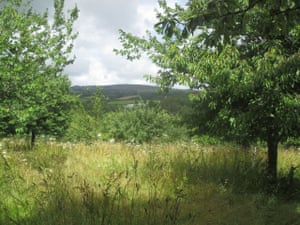 James and Mary's orchard
