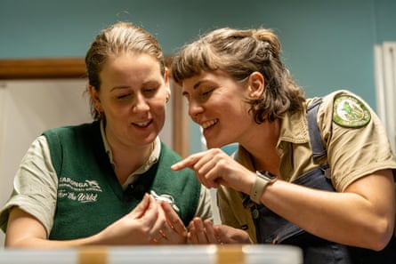 Taryn Smith from Taronga and Allie Anderson from Norfolk Island National Park look at snails