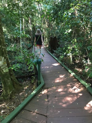 The secluded Mouses House rainforest retreat.