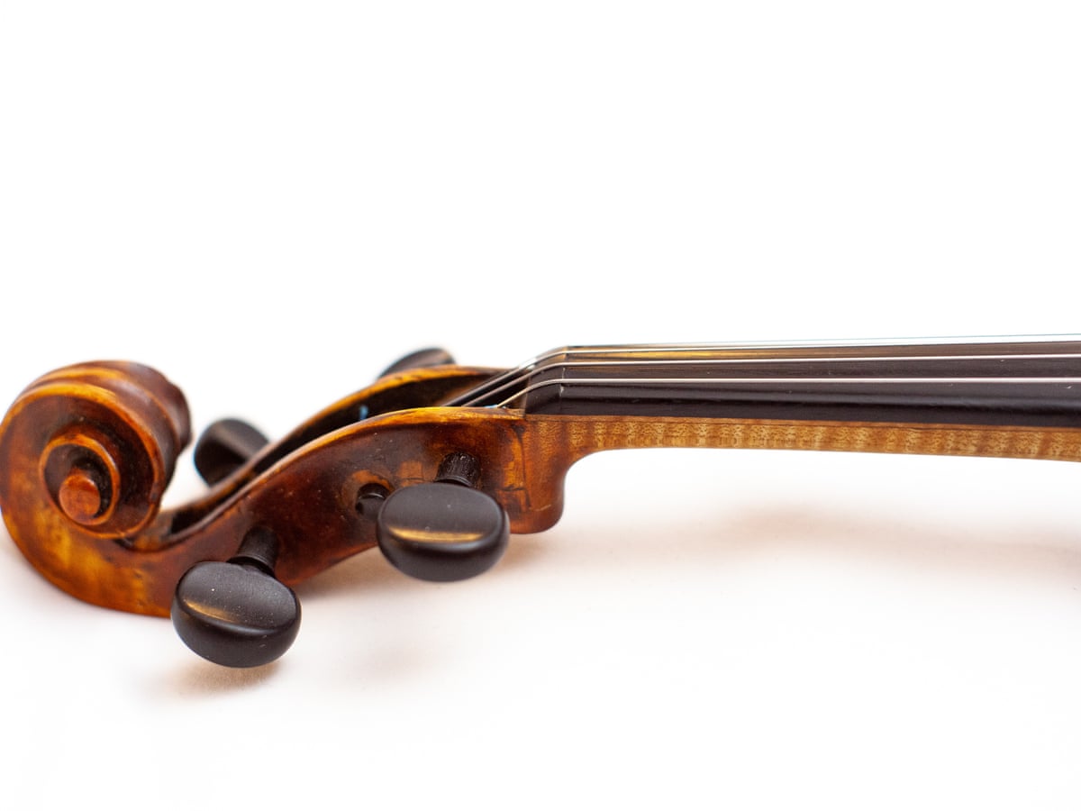 A truce with the trees': Rebecca Solnit on the wonders of a 300-year old violin | Kronos Quartet | The Guardian