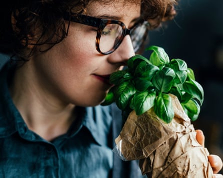 a Female Botanist Enjoying the Smell of Fresh Basil LeavesWoman working at a plant shop enjoying the smell of fresh basil.