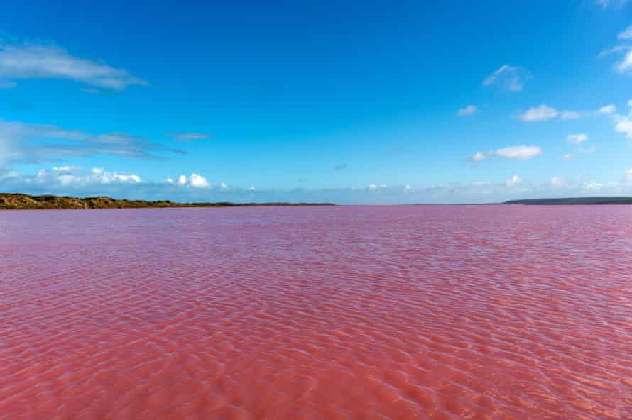 Pink Lake, Hutt Lagoon, Port Gregory (near Kalbarri), Western Australia