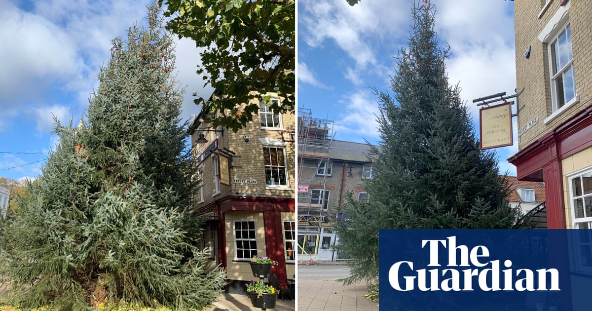 Fir flies over Cambridgeshire town’s wonky Christmas tree