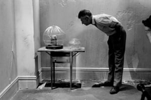 Samuel Beckett looking at parrot, 1964