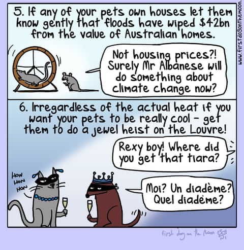 Cartoon by First Dog on the Moon More Big Weather 2025, panel 3