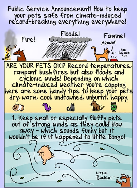 Cartoon by First Dog on the Moon More Big Weather 2025, panel 1