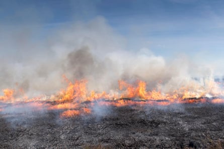 Burning peatland