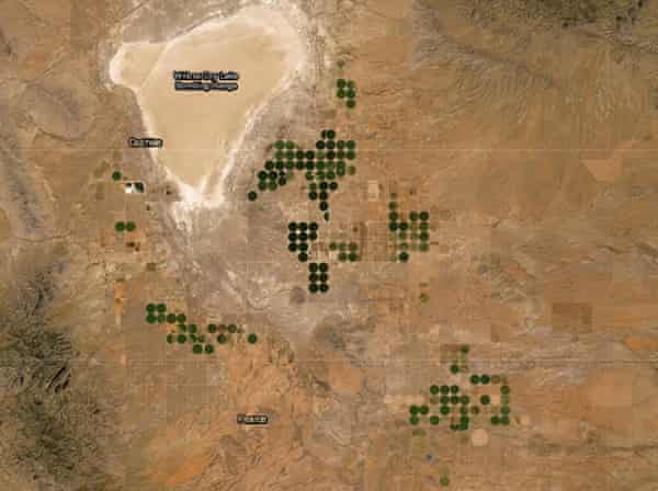 A map shows the number of mega-farms north of Sunizona, Arizona (gray dot at bottom)