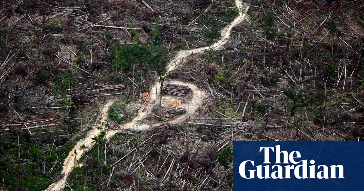 Beauty And Destruction The Amazon Rainforest In Pictures Global Development Professionals Network The Guardian Beauty And Destruction The Amazon Rainforest In Pictures Global Development Professionals Network The Guardian