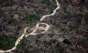 Beauty And Destruction The Amazon Rainforest In Pictures Global Development Professionals Network The Guardian Beauty And Destruction The Amazon Rainforest In Pictures Global Development Professionals Network The Guardian