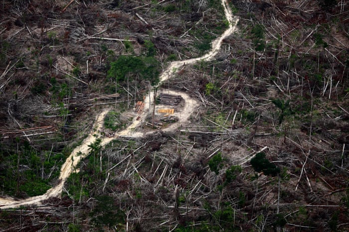 Beauty And Destruction The Amazon Rainforest In Pictures Global Development Professionals Network The Guardian Beauty And Destruction The Amazon Rainforest In Pictures Global Development Professionals Network The Guardian