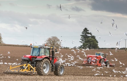 Tractors sow seeds treated with neonicotinoids.