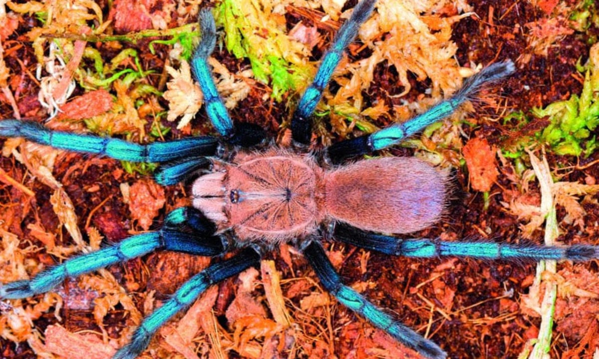 The ultimate lovely legs competition: the world's nine most ... Image Duterte image beautiful image beautiful image beautiful image beautiful image beautiful image beautiful image beautiful image beautiful - The ultimate lovely legs competition: the world's nine most ...