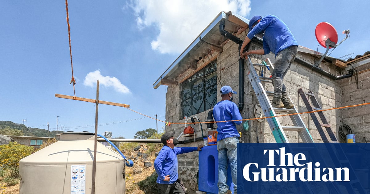 Prickly pears, avocados and lemons: how rainwater harvesting is feeding Mexico City’s gardens and homes