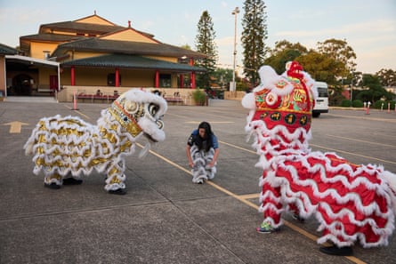 A red lion and a yellow lion rehearse in the car park