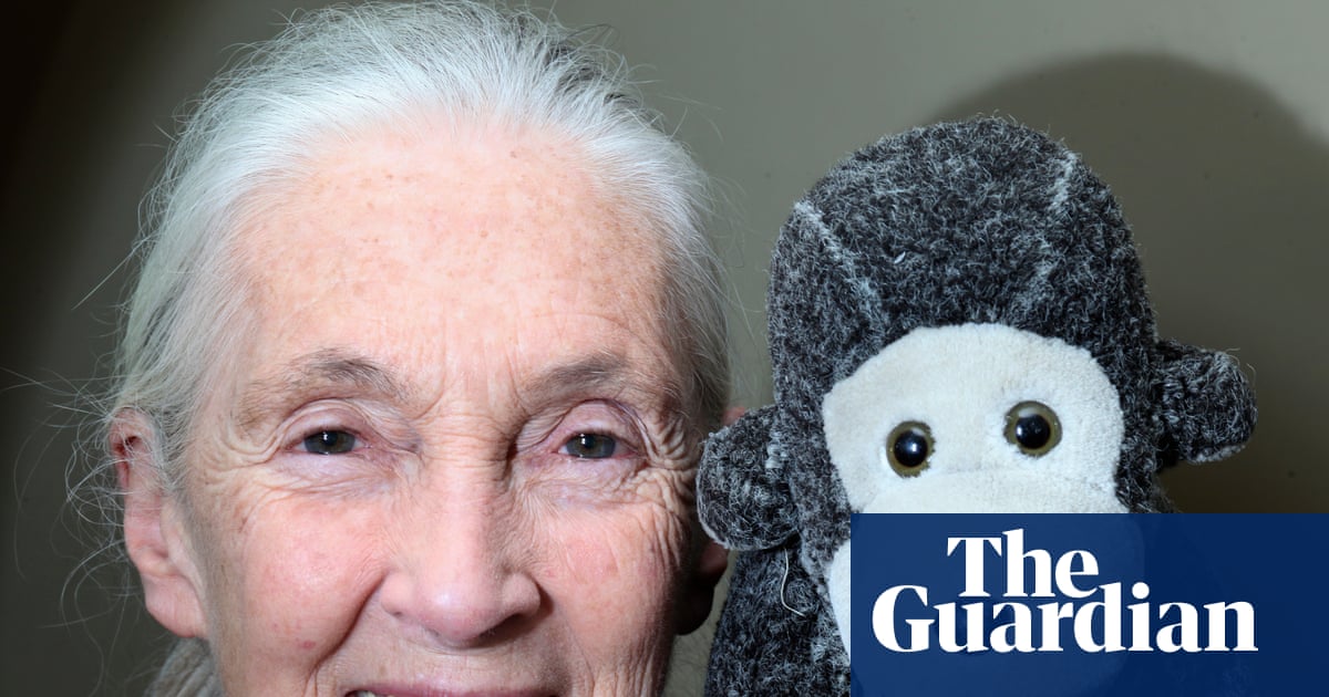 ‘A remarkable ability to inspire’: global tributes pour in for Jane Goodall