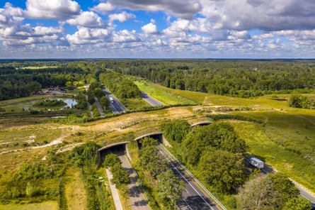 Aerial view of a wide, grassy bridge over a four-lane highway and a railway line