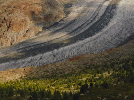 View from a peak of a glacier running through a valley with trees covering the slope