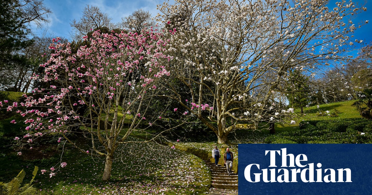 ‘A surge of hope’: public helps create poem celebrating coming of spring