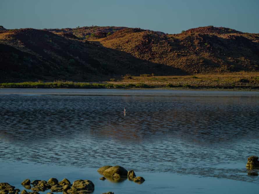 Environmentalists say the Woodside gas mega-project is as a carbon bomb that will destroy unique marine life in the area.