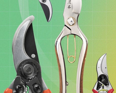 Four different types of pruning secateurs displayed against a green background