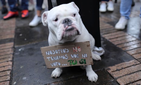 In Bogotá, a dog wears a placard reading, “We do not have voice nor vote... You do.”