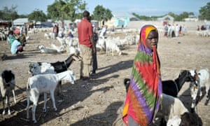 A girl oversees a herd of goats at Bakara animal market in the Somali capital Mogadishu. The site of Black Hawk Down and a former al-Shabaab stronghold, the market is now thriving.