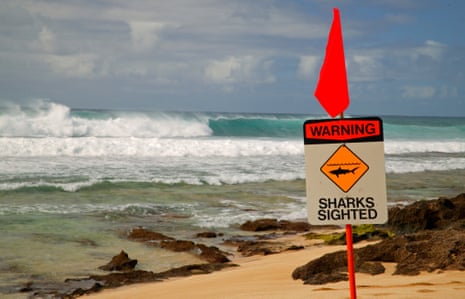 shark sighting sign