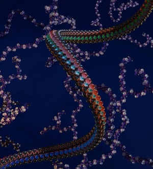 A showcase of digital PolyNIPAM and polyethyleneimine models, created from real polymer simulations via the PolyConstruct platform.