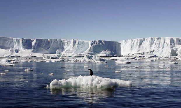 Sea ice levels in the Antarctic have experienced huge variability in the last few years.