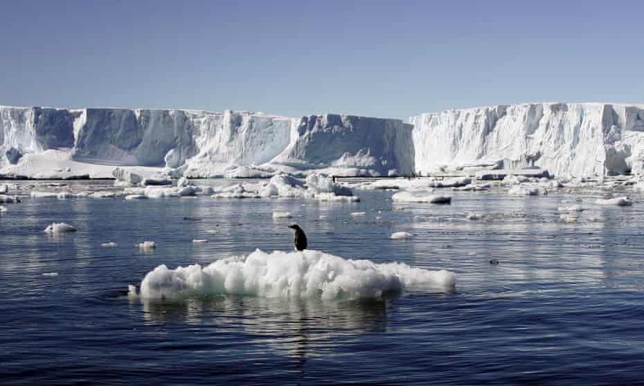 An Adelie penguin standing atop a block of melting ice in East Antarctica. Slowly-melting ice is a ‘feedback’ through which today’s carbon pollution will heat the planet for centuries to come.