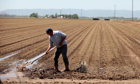 A farm worker, Armando Garcia, during spring planting in the Central Valley in Davis, California.