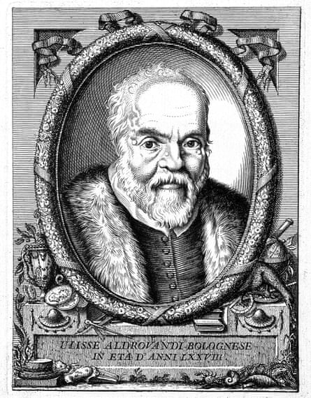 An etching of the Italian naturalist Ulisse Aldrovandi.