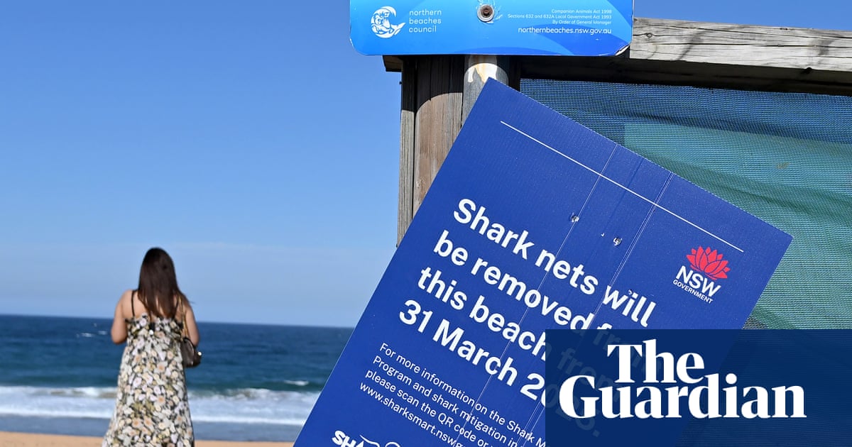 How do shark nets work? After a deadly attack in Sydney, their ...