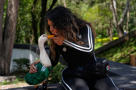 Carla Gomez blows on her duck Merlin, dressed in a Mexico national soccer team jersey, during the World Cup.