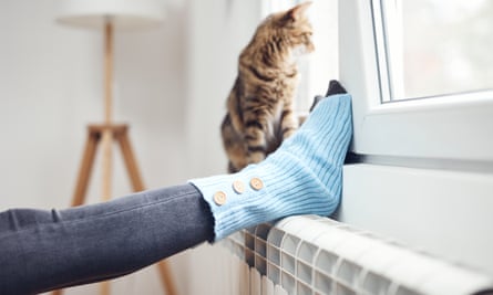 Woman's feet with woolen socks, domestic cat, enjoying inside home on the radiator.