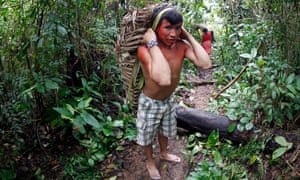 An Araweté man carrying a rucksack filled with corn.