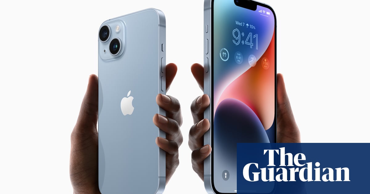 A curious meerkat pops up