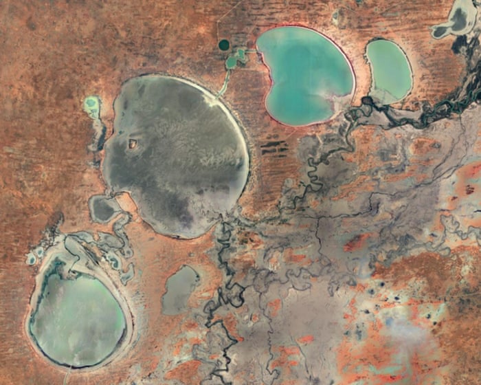 Menindee Lakes water levels drop to lowest in five years as experts warn of mass fish deaths