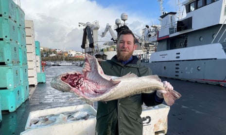 Cod almighty: how a 'mythical' Faroes delicacy has vanished