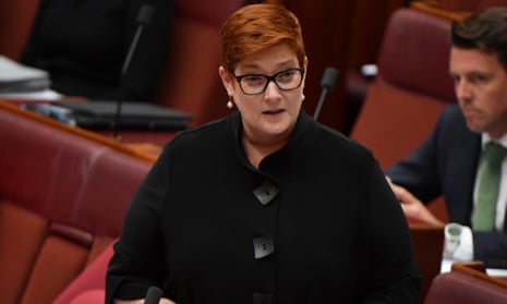 Foreign minister Marise Payne in parliament