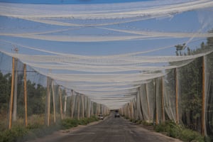 Kostiantynivka, Ukraine. A car can be seen in the distance on a road covered in a canopy of nets